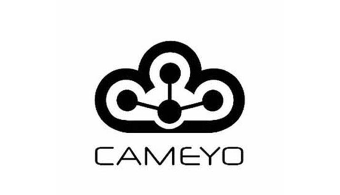 _0013_Cameyo